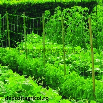 Plasa castraveti 1,70x50 ml