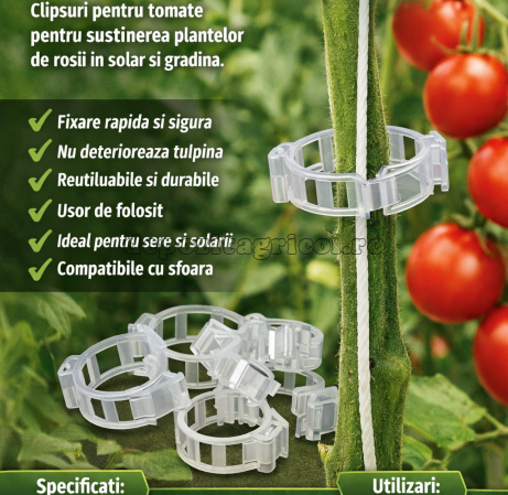 Product 6