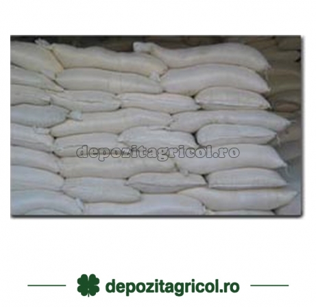 Saci pp 48x97